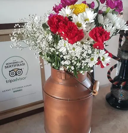 Kerme Ottoman 4* אקיאקה